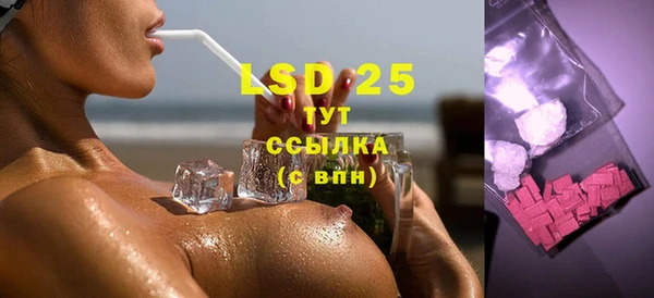 индика Верея