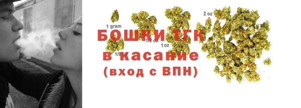 индика Верея