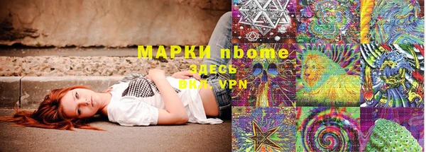 индика Верея