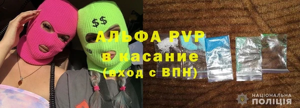 индика Верея