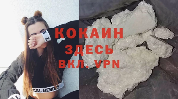 индика Верея