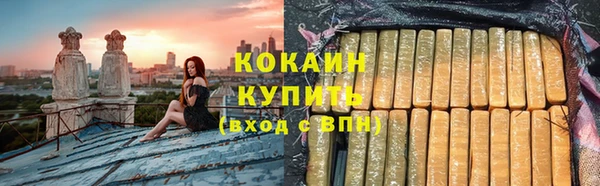 индика Верея