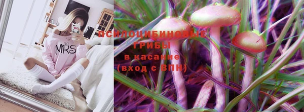 индика Верея