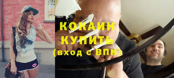 индика Верея